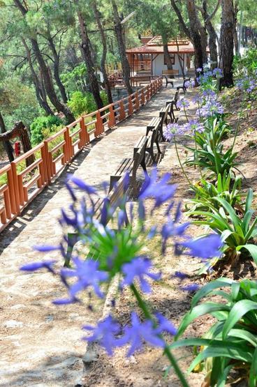 İzmirin teleferiği yeniden çalışmaya başladı