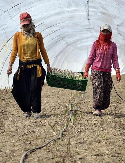 Beş dönümde başlayan hayalleri dev bir şirkete dönüştü