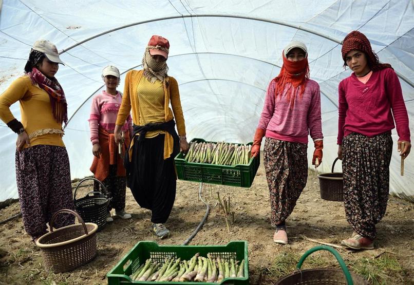 Beş dönümde başlayan hayalleri dev bir şirkete dönüştü