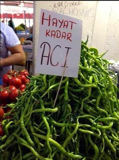 Zam şampiyonu sivri biber oldu