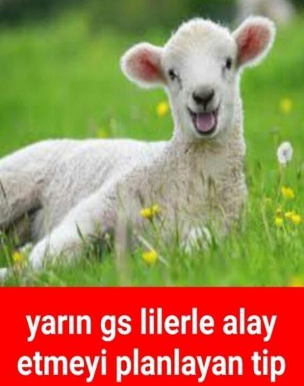 Başakşehir-Galatasaray capsleri