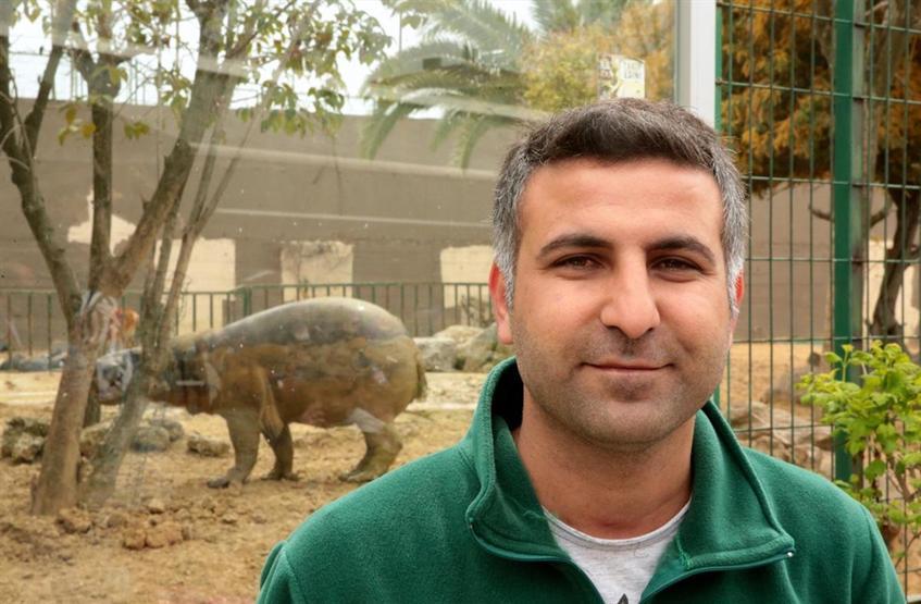 Türkiyede ilk Cüce su aygırı doğum yaptı