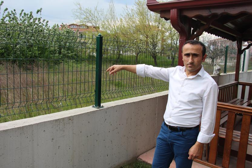 Sakaryada dehşet anları. 5 yaşındaki çocuğa köpekler saldırdı