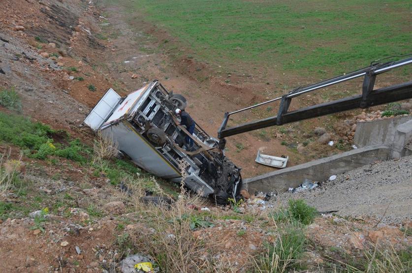 Yarış atlarını taşıyan kamyonet devrildi