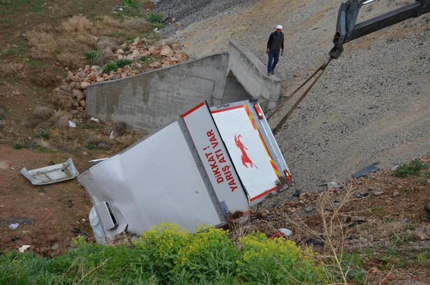 Yarış atlarını taşıyan kamyonet devrildi