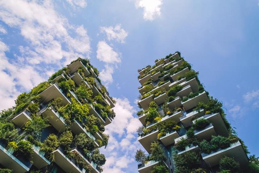 Keyifli bir balkon bahçesi yaratmanın 7 sihirli adımı