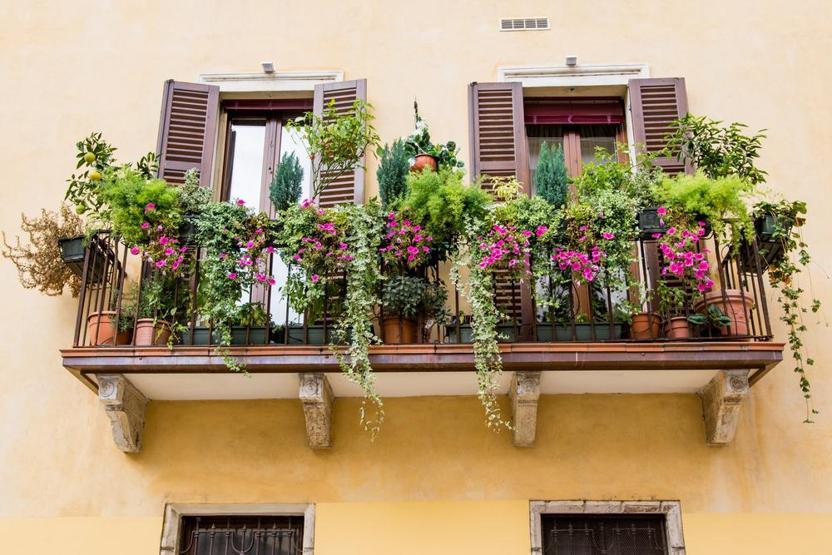 Keyifli bir balkon bahçesi yaratmanın 7 sihirli adımı