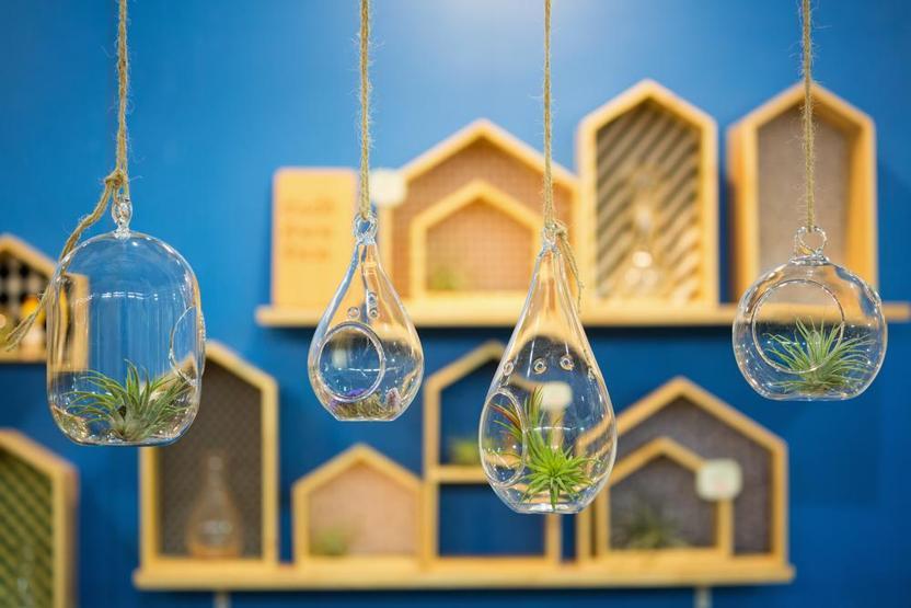 Keyifli bir balkon bahçesi yaratmanın 7 sihirli adımı