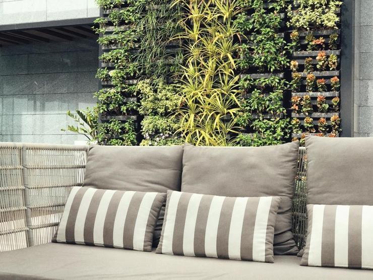Keyifli bir balkon bahçesi yaratmanın 7 sihirli adımı