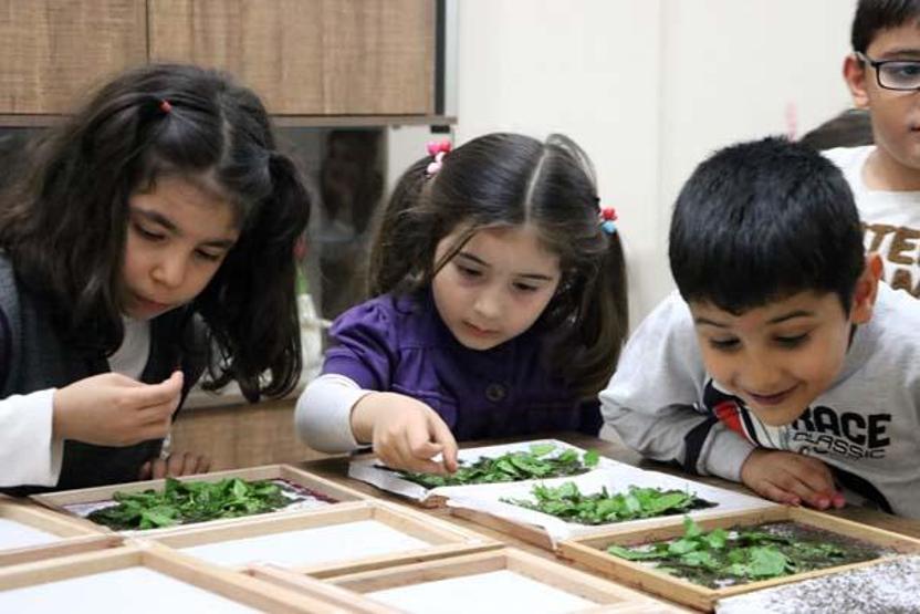 40 günde 6 bin lira kazanıyorlar