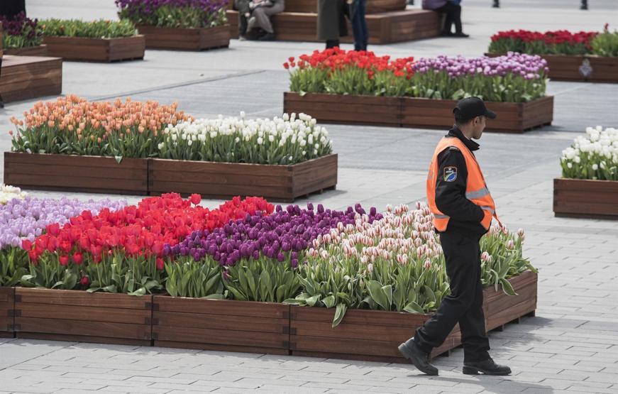 Taksim Meydanında laleler için yoğun güvenlik önlemi