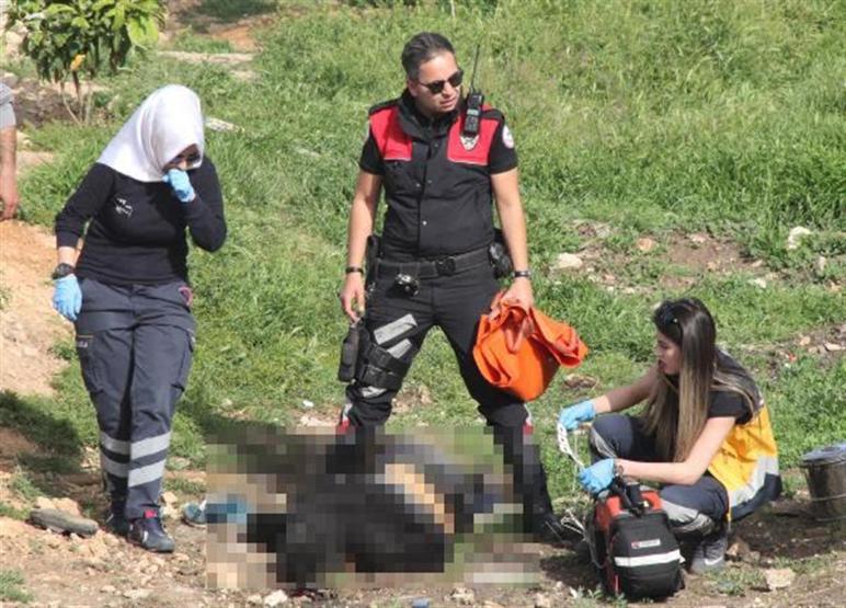 Köpek kavgası kanlı bitti