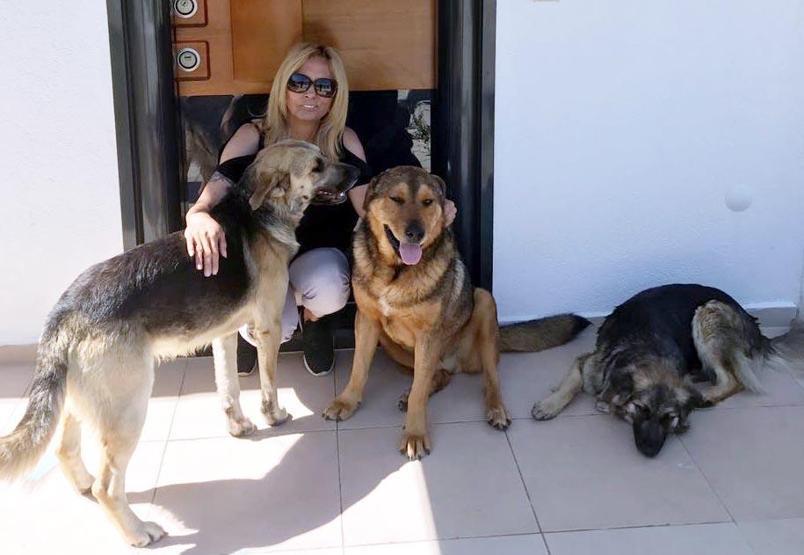 Bodrumda hayvanseverleri kızdıran olay