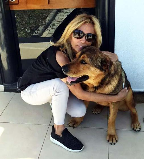 Bodrumda hayvanseverleri kızdıran olay