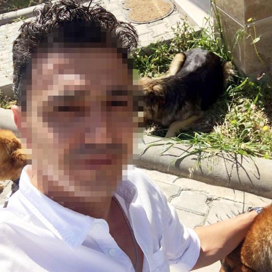Bodrumda hayvanseverleri kızdıran olay