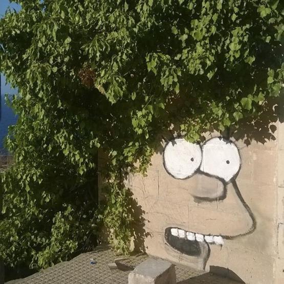 Şehirle doğanın, sanatla sokağın buluştuğu yerde renk var