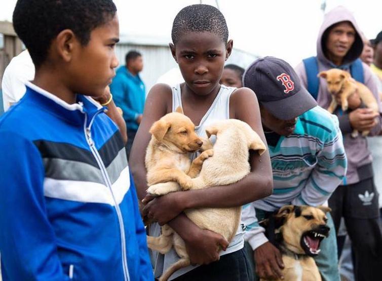 Küçük çocuk köpeği kurtarmak için 3 km yol yürüdü