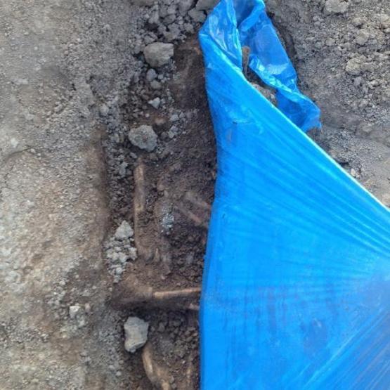 Mevlana Müzesi’nin bin yıllık gül bahçesinde, ek bina inşaatı durduruldu