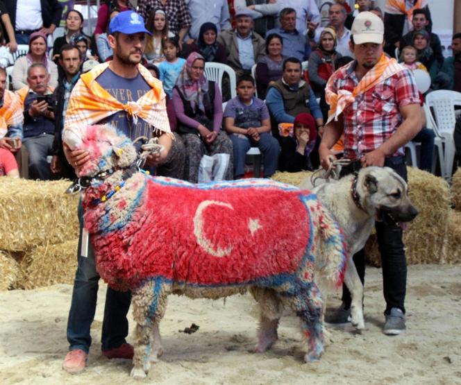 Burdurda en güzel keçi ve koç yarışması yapıldı