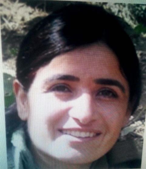 Tunceli Aliboğazındaki PKK operasyonu sona erdi