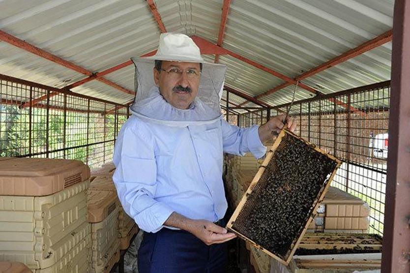 Arıcı Sürmene Belediye Başkan Yardımcısı, ayıya karşı