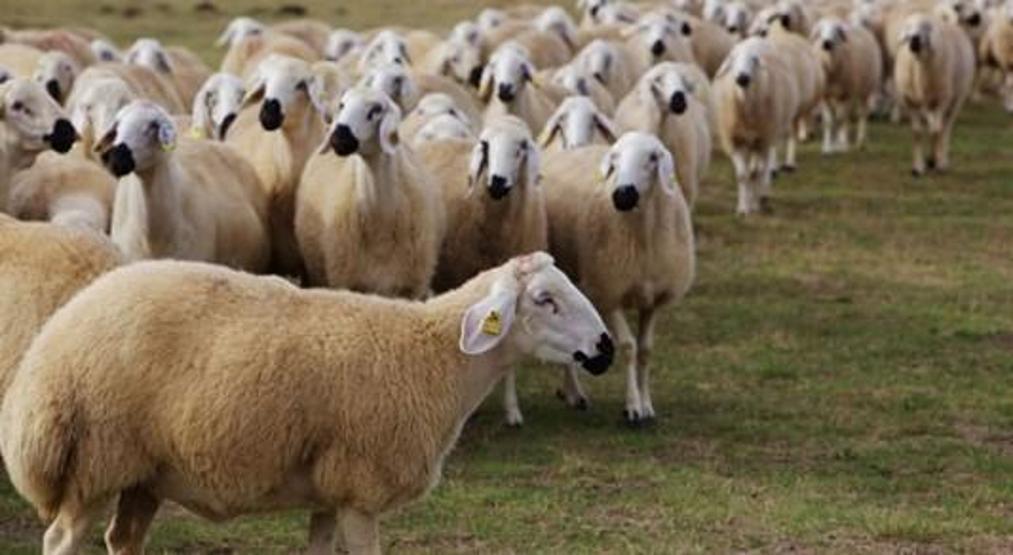 Oruç ne zaman, Mayıs ayının kaçında başlıyor: 2017 Ramazan Bayramı ne zaman