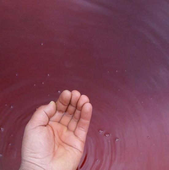 Her yıl bu sudan içmek için sıraya giriyorlar