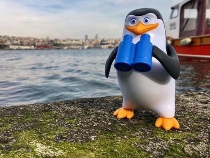 40 yaşında 550 oyuncağıyla dünyayı geziyor