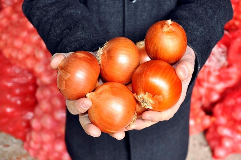 Soğanın kilosu tarlada 35 kuruş markette 2 lira