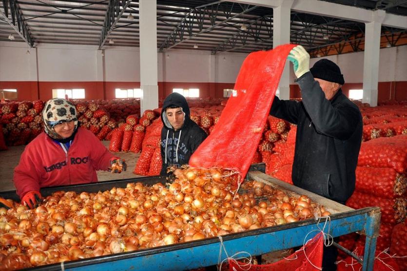 Soğanın kilosu tarlada 35 kuruş markette 2 lira