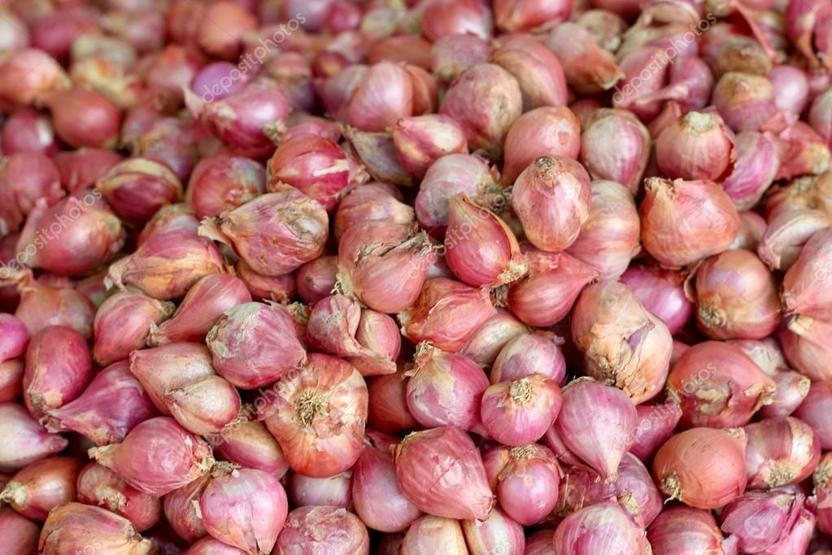Soğanın kilosu tarlada 35 kuruş markette 2 lira