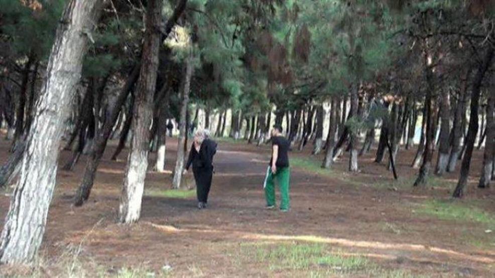 CHPli Meclis Başkanvekili: Bakırköyde yeni bir rant alanı yaratılmak üzere