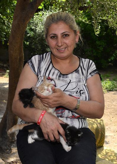 Sokak kedilerine baktığı için evinden oluyor