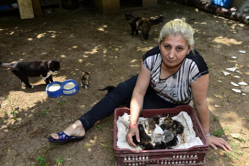 Sokak kedilerine baktığı için evinden oluyor