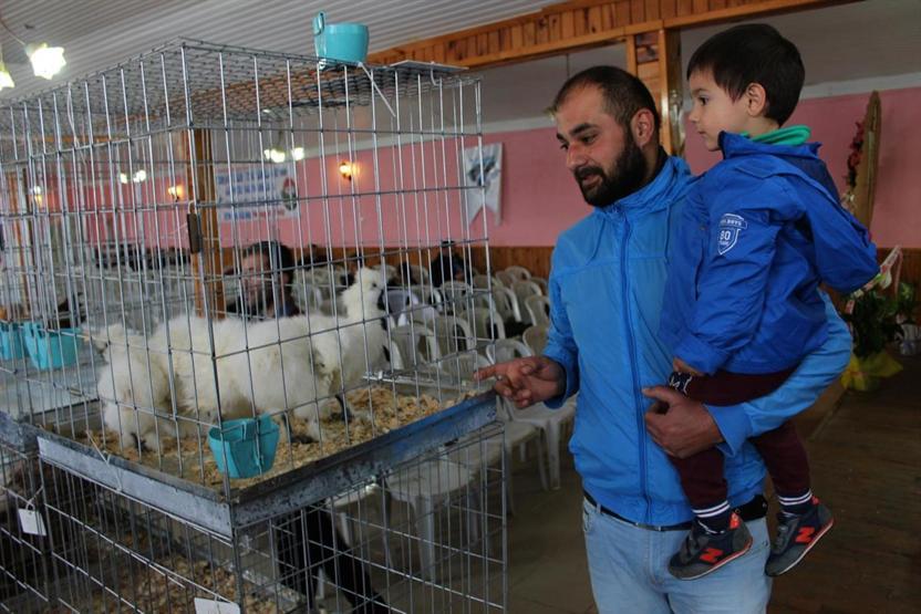 Tokatta süs tavuğu severler bir araya geldi