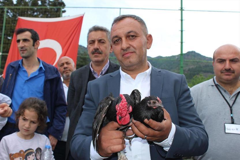 Tokatta süs tavuğu severler bir araya geldi