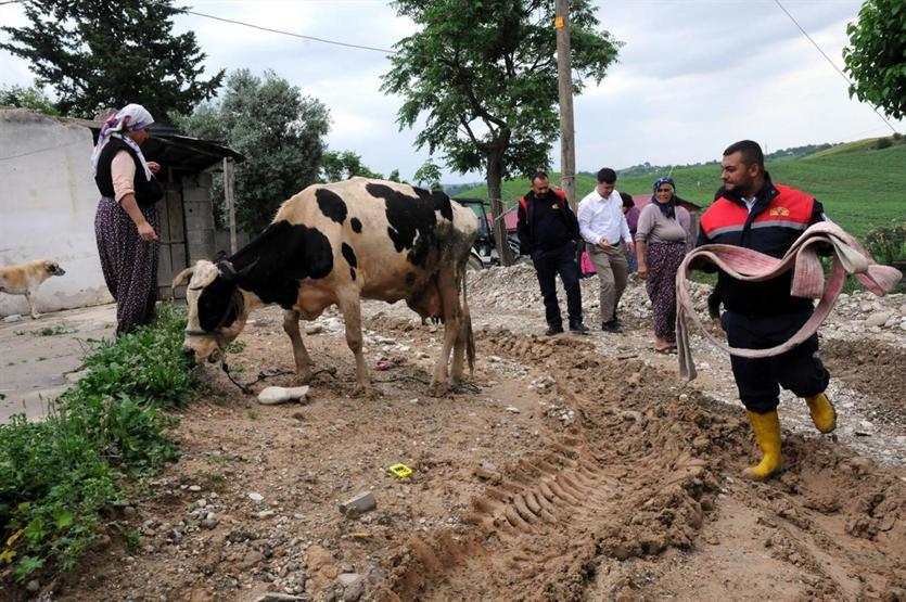 Osmaniyede kuyuya düşen ineği itfaiye kurtardı