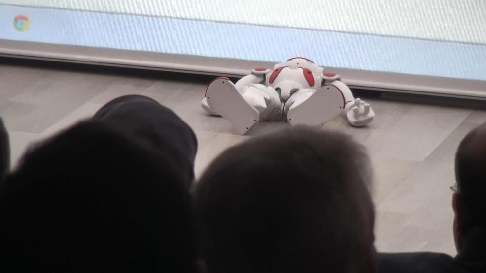 Gösteri yapan insansı robot bayıldı