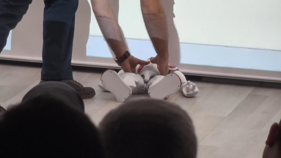 Gösteri yapan insansı robot bayıldı