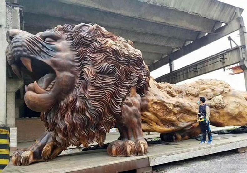 Bu ağaçtan ne yaptıklarını tahmin bile edemeyeceksiniz