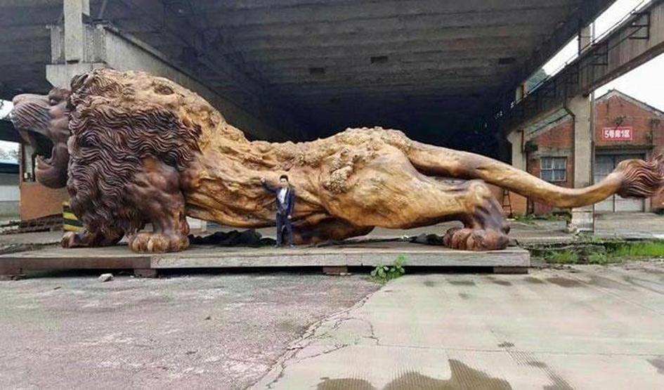 Bu ağaçtan ne yaptıklarını tahmin bile edemeyeceksiniz