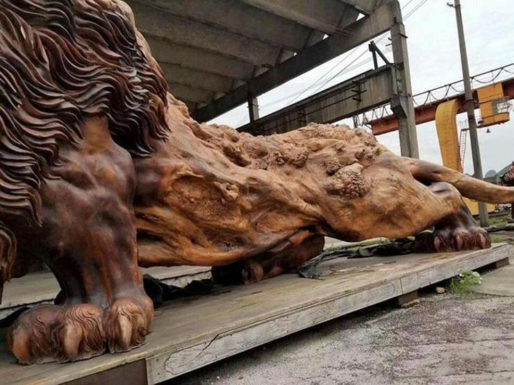 Bu ağaçtan ne yaptıklarını tahmin bile edemeyeceksiniz