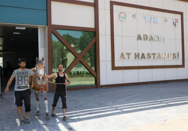 Milyonluk yarış atlarına özel hastane