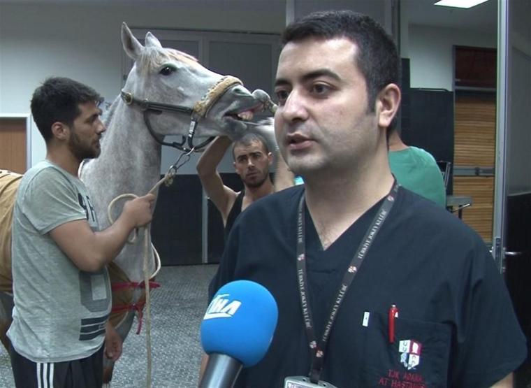 Milyonluk yarış atlarına özel hastane