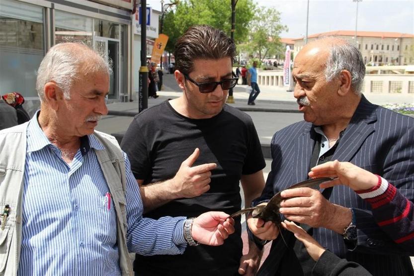 Dünyanın en esrarengiz kuşunu buldular