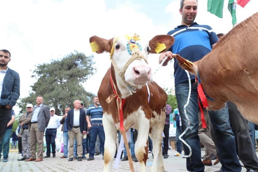 Arnavutköy’de Çiftçiler Bayramı kutlandı