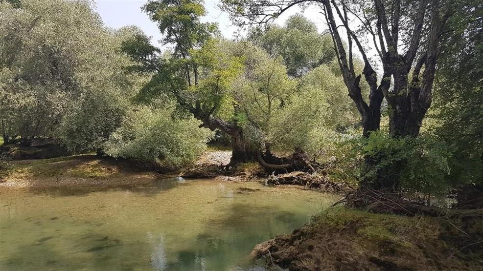Manavgat Şelalesi 13 günde tanınmaz hale geldi