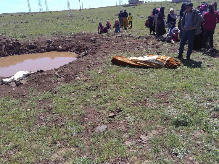 Su birikintisine düşen kuzuyu kurtarmak isterken boğuldu