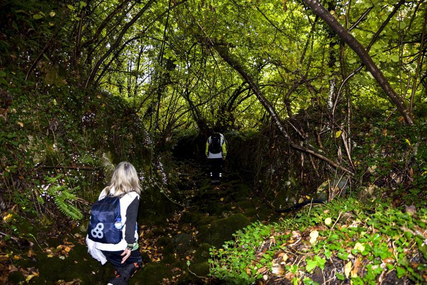 Doğa yürüyüşleri projesi ülke turizmine gelir kaynağı oluyor