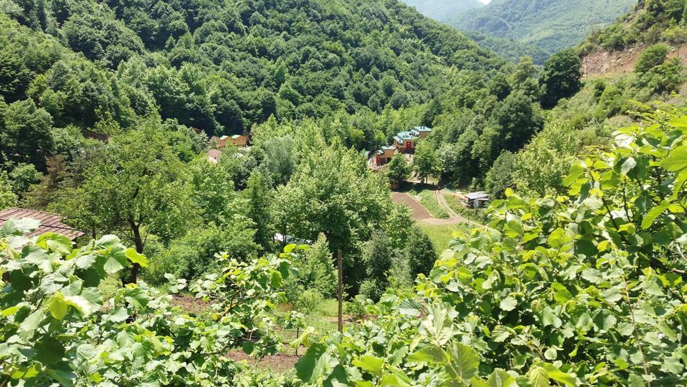 Son dakika... Yuvacık Barajı çevresindeki tesislerin yıkımında biber gazlı müdahale